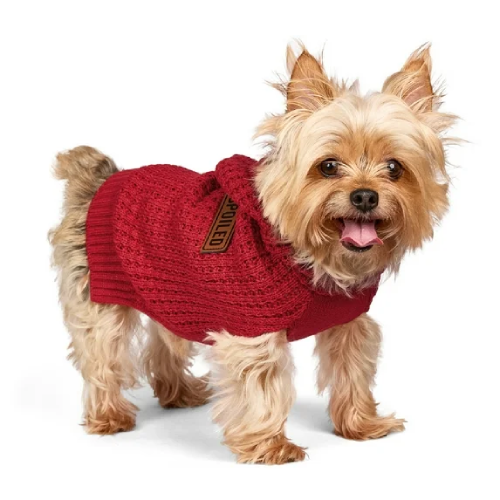 Vibrant Life Holiday Pet Sweater for Cats & Dogs